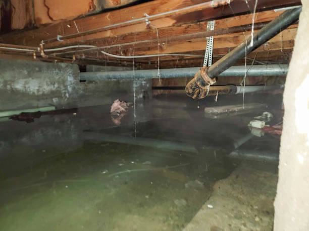 Best 24/7 water damage repair  in Leadville, CO
