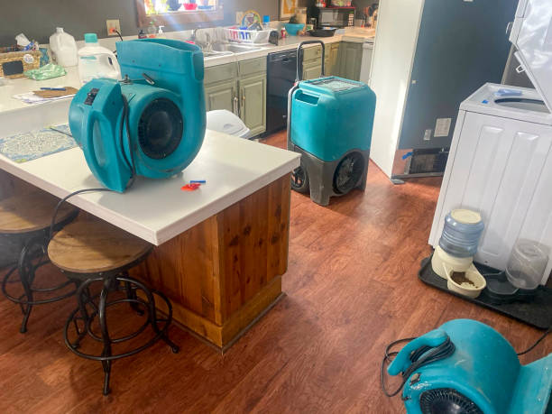 Best Carpet water damage restoration  in Leadville, CO