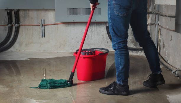 Best Water damage contractors near me  in Leadville, CO