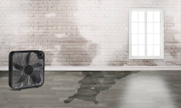 Professional Water damage restoration in CO