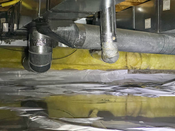 Best Local water damage restoration  in Leadville, CO