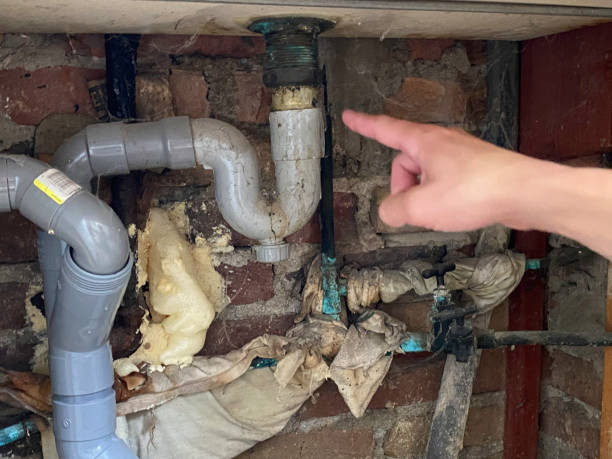 Best Commercial water damage restoration  in Leadville, CO
